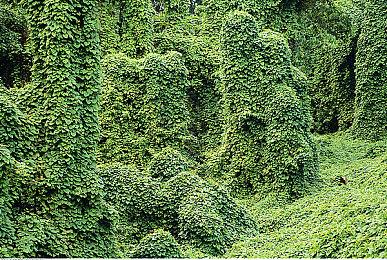 微软Xbox在GDC线上活动推出12款新游戏试玩Demo