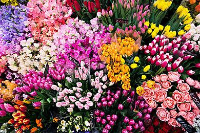 反重力竞速续作《红视2》公布 2022年登陆全平台